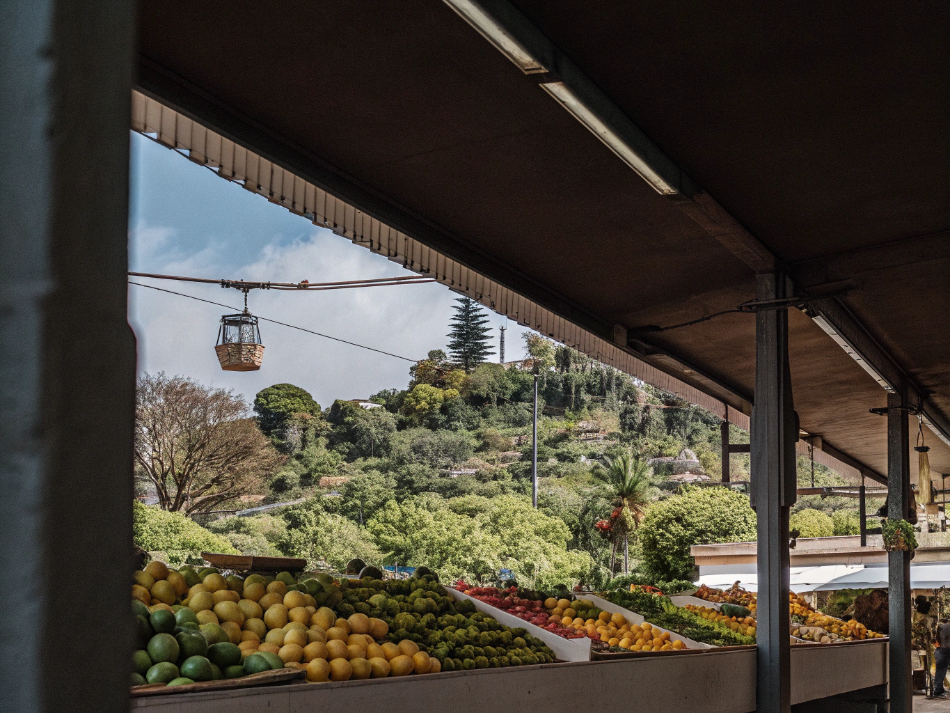 Dzień 7: Funchal – Mercado dos Lavradores, Monte Palace i Carros de Cesto
