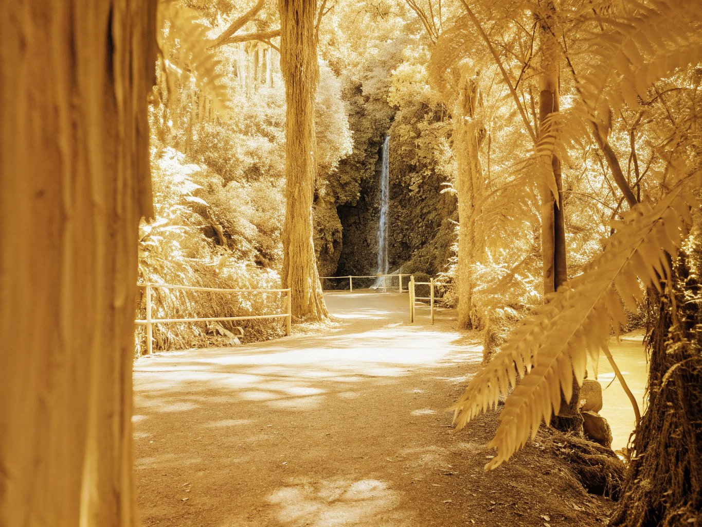 Levada das 25 Fontes: najpopularniejsza trasa do laguny z kaskadami