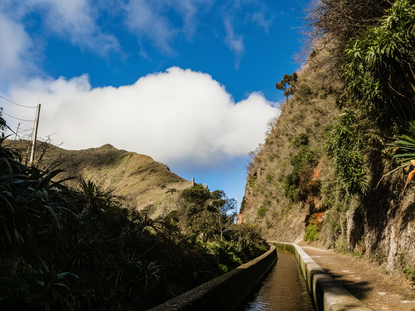 Kiedy iść na lewady: najlepsze pory roku i warunki pogodowe dla początkujących
